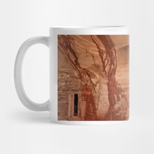 Moqui Cave Details - 1 © Mug